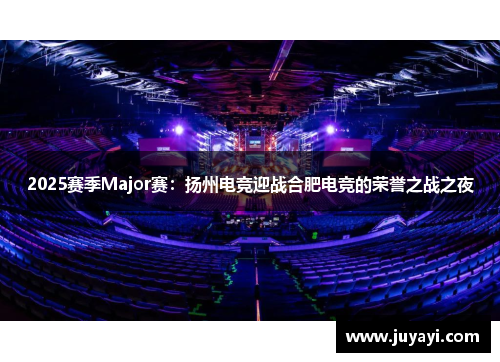 2025赛季Major赛：扬州电竞迎战合肥电竞的荣誉之战之夜