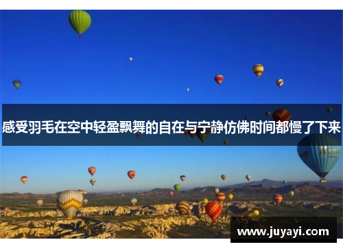 感受羽毛在空中轻盈飘舞的自在与宁静仿佛时间都慢了下来
